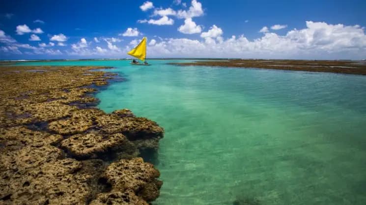 Porto de Galinhas, Pernambuco - Nordeste - Imagen 10