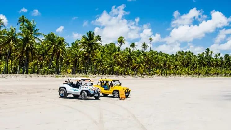 Maceió y Maragogi, Alagoas - Nordeste - Imagen 1