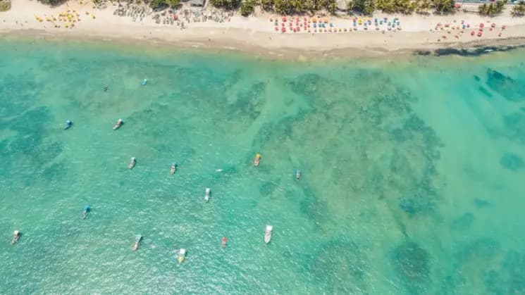 Maceió y Maragogi, Alagoas - Nordeste - Imagen 4