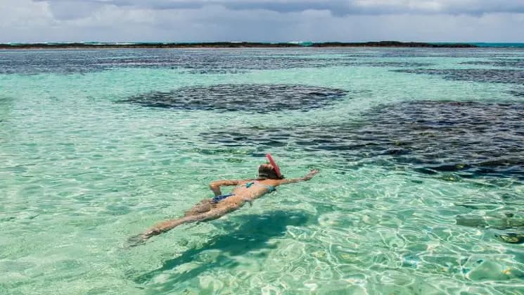 Maceió y Maragogi, Alagoas - Nordeste - Imagen 8