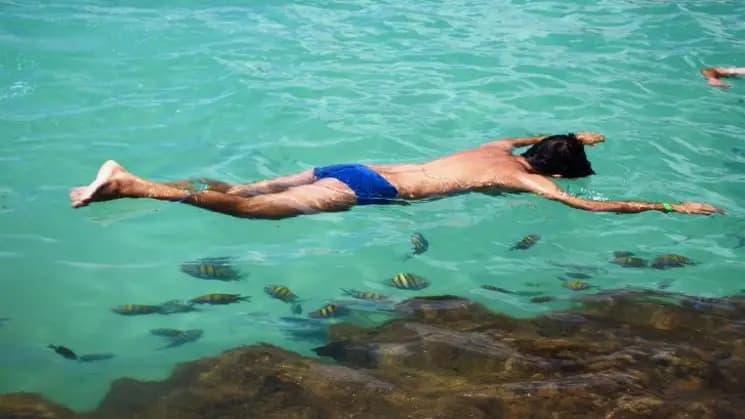 Maceió y Maragogi, Alagoas - Nordeste - Imagen 13