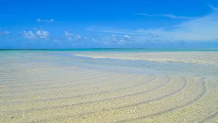 Maceió y Maragogi, Alagoas - Nordeste - Imagen 15
