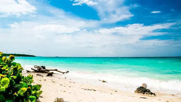 Isla Barú All Inclusive, Colombia - Imagen 6