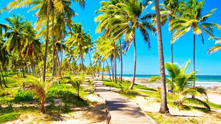 Bahía All Inclusive en Costa do Sauípe - Nordeste - Imagen 6