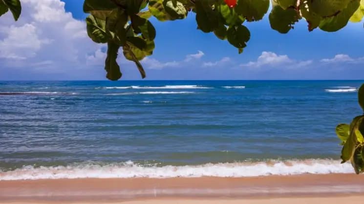 Porto Seguro All Inclusive, Bahía - Imagen 7