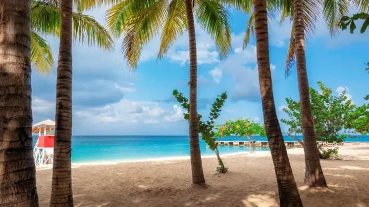 Montego Bay All Inclusive, Jamaica - Imagen 11