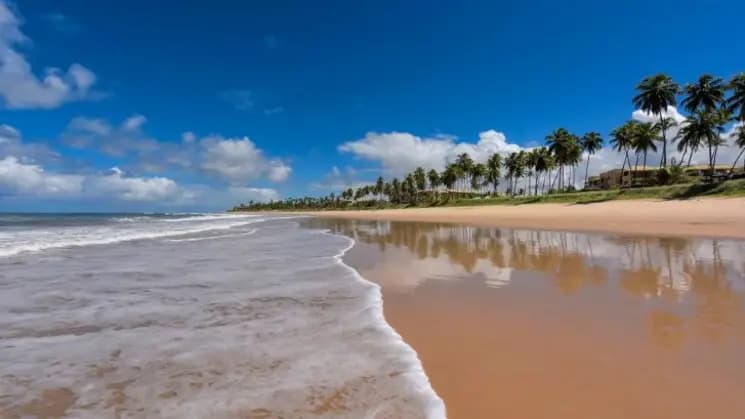 Bahía All Inclusive en Iberostar waves - Praia Do Forte - Imagen 2