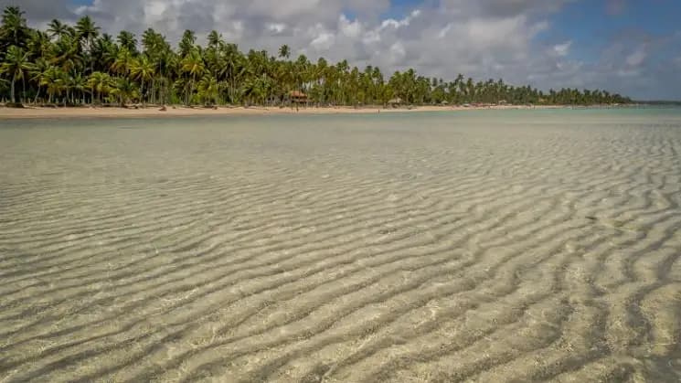 Porto de Galinhas y Maragogi - Nordeste - Imagen 21