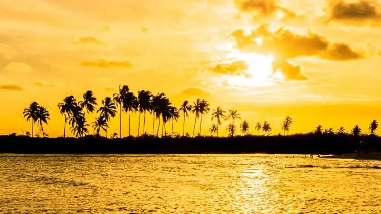 Porto de Galinhas y Maragogi - Nordeste - Imagen 9
