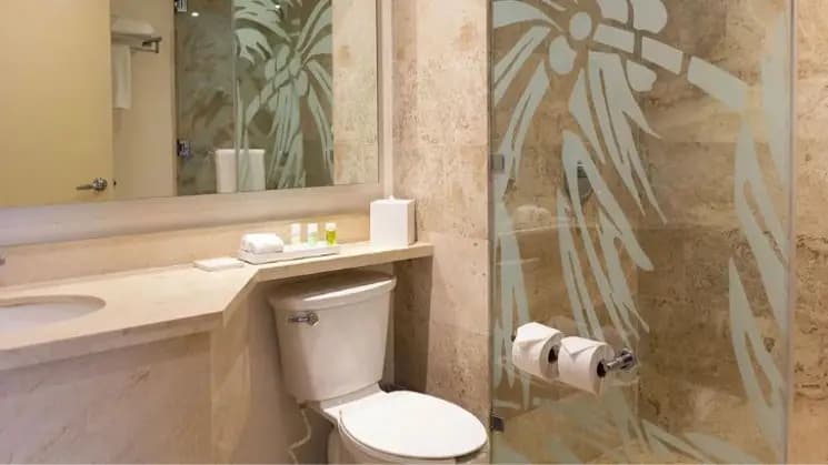 Playa del Carmen All Inclusive en The Reef Coco Beach - Imagen 13