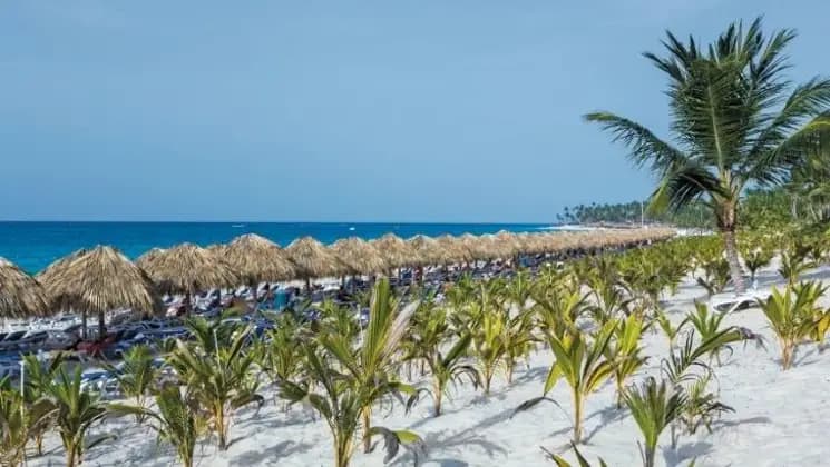 Punta Cana All Inclusive en Riu República - Imagen 3