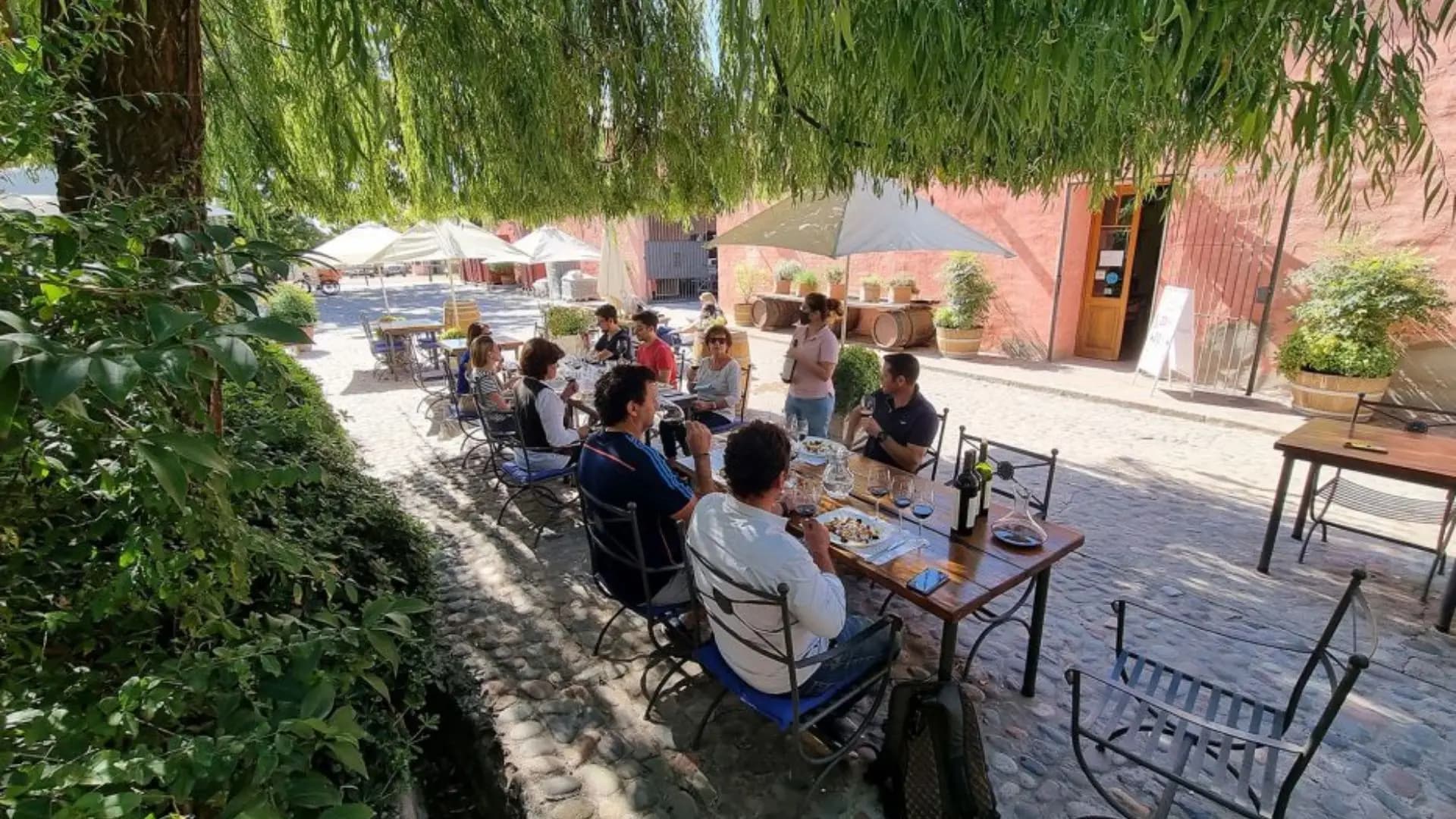 Mendoza - Vinos & Oliva - Imagen 4