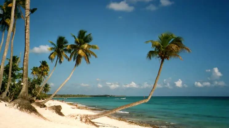 Bayahibe All Inclusive en Hotel Catalonia - Imagen 4